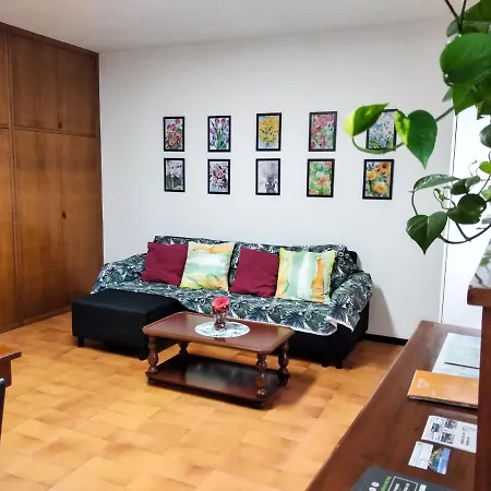 Apartment Casa Scotty 2