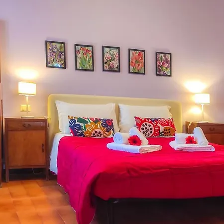 Apartment Casa Scotty 2
