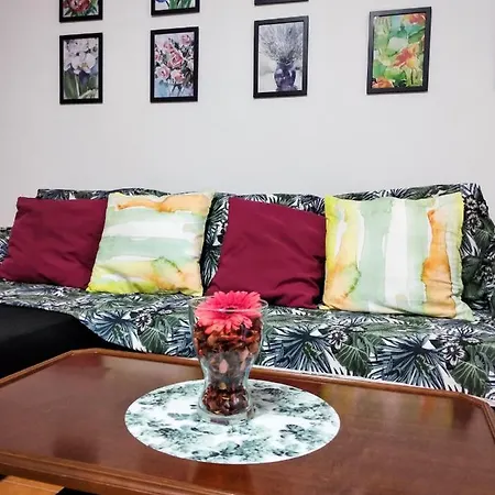 Casa Scotty 2 * Ancona